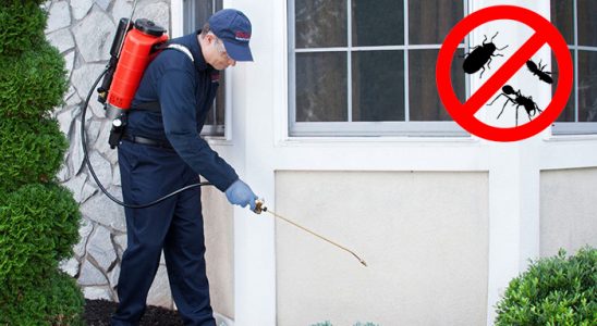 Silvan Bit İlaçlama böcek ilaçlama ve haşere kontrolü — ilaclama-tr.com